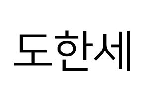 KPOP VICTON(빅톤、ビクトン) 도한세 (ド・ハンセ) プリント用応援ボード型紙、うちわ型紙　韓国語/ハングル文字型紙 通常