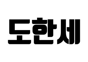 KPOP VICTON(빅톤、ビクトン) 도한세 (ド・ハンセ) コンサート用　応援ボード・うちわ　韓国語/ハングル文字型紙 通常