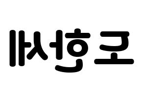 KPOP VICTON(빅톤、ビクトン) 도한세 (ド・ハンセ) 応援ボード・うちわ　韓国語/ハングル文字型紙 左右反転