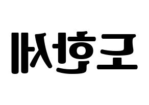KPOP VICTON(빅톤、ビクトン) 도한세 (ド・ハンセ) コンサート用　応援ボード・うちわ　韓国語/ハングル文字型紙 左右反転