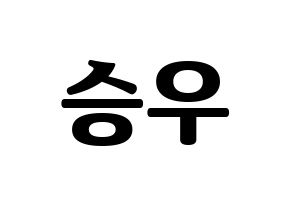 KPOP VICTON(빅톤、ビクトン) 한승우 (ハン・スンウ) コンサート用　応援ボード・うちわ　韓国語/ハングル文字型紙 通常
