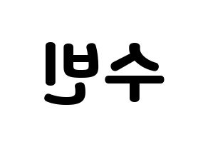 KPOP VICTON(빅톤、ビクトン) 정수빈 (チョン・スビン) 応援ボード・うちわ　韓国語/ハングル文字型紙 左右反転