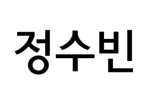 KPOP VICTON(빅톤、ビクトン) 정수빈 (チョン・スビン, チョン・スビン) 無料サイン会用、イベント会用応援ボード型紙 通常