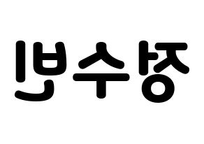 KPOP VICTON(빅톤、ビクトン) 정수빈 (チョン・スビン) 応援ボード・うちわ　韓国語/ハングル文字型紙 左右反転