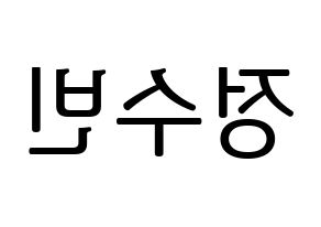 KPOP VICTON(빅톤、ビクトン) 정수빈 (チョン・スビン) プリント用応援ボード型紙、うちわ型紙　韓国語/ハングル文字型紙 左右反転