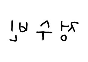 KPOP VICTON(빅톤、ビクトン) 정수빈 (チョン・スビン) k-pop 応援ボード メッセージ 型紙 左右反転