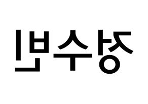 KPOP VICTON(빅톤、ビクトン) 정수빈 (チョン・スビン, チョン・スビン) 無料サイン会用、イベント会用応援ボード型紙 左右反転