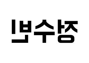 KPOP VICTON(빅톤、ビクトン) 정수빈 (チョン・スビン) k-pop アイドル名前 ファンサボード 型紙 左右反転