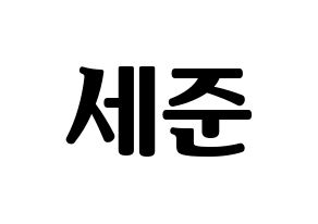 KPOP VICTON(빅톤、ビクトン) 임세준 (イム・セジュン) コンサート用　応援ボード・うちわ　韓国語/ハングル文字型紙 通常