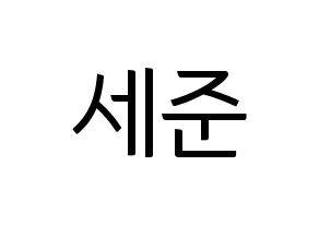 KPOP VICTON(빅톤、ビクトン) 임세준 (イム・セジュン) コンサート用　応援ボード・うちわ　韓国語/ハングル文字型紙 通常