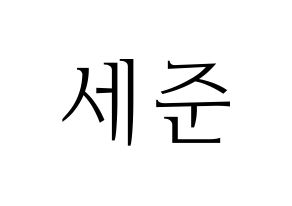 KPOP VICTON(빅톤、ビクトン) 임세준 (イム・セジュン) 応援ボード・うちわ　韓国語/ハングル文字型紙 通常