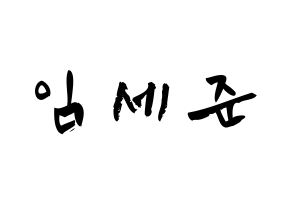 KPOP VICTON(빅톤、ビクトン) 임세준 (イム・セジュン, イム・セジュン) 応援ボード、うちわ無料型紙、応援グッズ 通常