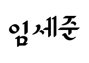 KPOP VICTON(빅톤、ビクトン) 임세준 (イム・セジュン) 応援ボード ハングル 型紙  通常