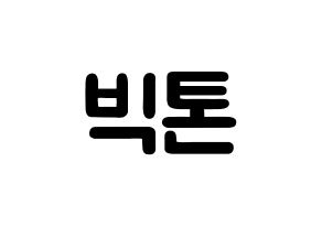 KPOP歌手 VICTON(빅톤、ビクトン) 応援ボード型紙、うちわ型紙　韓国語/ハングル文字 通常