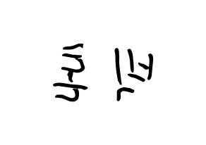 KPOP VICTON(빅톤、ビクトン) k-pop ボード ハングル表記 言葉 左右反転