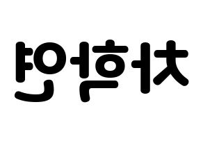 KPOP VIXX(빅스、ヴィックス) 엔 (エン) 応援ボード・うちわ　韓国語/ハングル文字型紙 左右反転