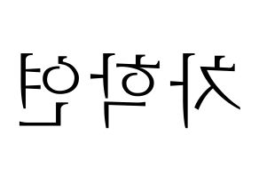 KPOP VIXX(빅스、ヴィックス) 엔 (エン) 応援ボード・うちわ　韓国語/ハングル文字型紙 左右反転