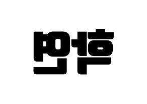 KPOP VIXX(빅스、ヴィックス) 엔 (エン) コンサート用　応援ボード・うちわ　韓国語/ハングル文字型紙 左右反転