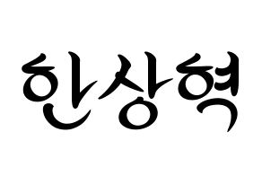 KPOP VIXX(빅스、ヴィックス) 혁 (ヒョギ) k-pop 応援ボード メッセージ 型紙 通常