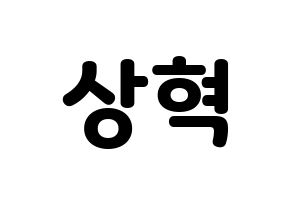 KPOP VIXX(빅스、ヴィックス) 혁 (ヒョギ) 応援ボード・うちわ　韓国語/ハングル文字型紙 通常