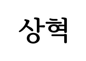 KPOP VIXX(빅스、ヴィックス) 혁 (ヒョギ) プリント用応援ボード型紙、うちわ型紙　韓国語/ハングル文字型紙 通常
