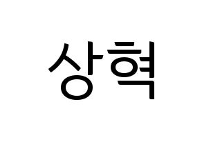 KPOP VIXX(빅스、ヴィックス) 혁 (ヒョギ) コンサート用　応援ボード・うちわ　韓国語/ハングル文字型紙 通常