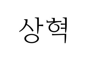 KPOP VIXX(빅스、ヴィックス) 혁 (ヒョギ) 応援ボード・うちわ　韓国語/ハングル文字型紙 通常