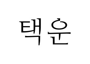 KPOP VIXX(빅스、ヴィックス) 레오 (レオ) 応援ボード・うちわ　韓国語/ハングル文字型紙 通常