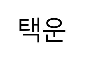 KPOP VIXX(빅스、ヴィックス) 레오 (レオ) プリント用応援ボード型紙、うちわ型紙　韓国語/ハングル文字型紙 通常