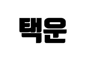 KPOP VIXX(빅스、ヴィックス) 레오 (レオ) コンサート用　応援ボード・うちわ　韓国語/ハングル文字型紙 通常