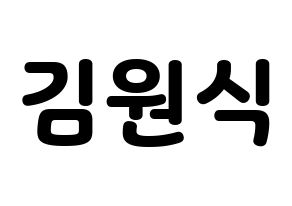 KPOP VIXX(빅스、ヴィックス) 라비 (ラビ) 応援ボード・うちわ　韓国語/ハングル文字型紙 通常