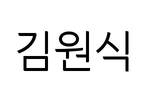 KPOP VIXX(빅스、ヴィックス) 라비 (ラビ) コンサート用　応援ボード・うちわ　韓国語/ハングル文字型紙 通常