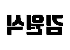 KPOP VIXX(빅스、ヴィックス) 라비 (ラビ) コンサート用　応援ボード・うちわ　韓国語/ハングル文字型紙 左右反転