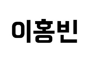 KPOP VIXX(빅스、ヴィックス) 홍빈 (ホンビン) k-pop アイドル名前 ファンサボード 型紙 通常