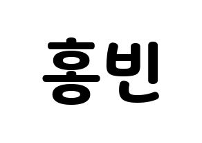 KPOP VIXX(빅스、ヴィックス) 홍빈 (ホンビン) 応援ボード・うちわ　韓国語/ハングル文字型紙 通常
