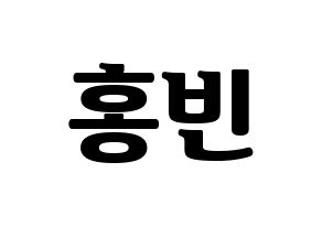 KPOP VIXX(빅스、ヴィックス) 홍빈 (ホンビン) コンサート用　応援ボード・うちわ　韓国語/ハングル文字型紙 通常