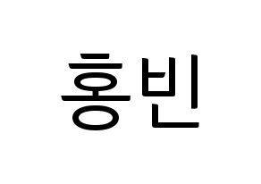 KPOP VIXX(빅스、ヴィックス) 홍빈 (ホンビン) コンサート用　応援ボード・うちわ　韓国語/ハングル文字型紙 通常