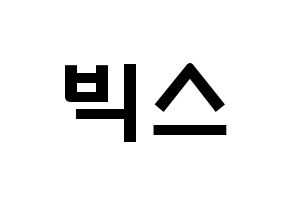 KPOP歌手 VIXX(빅스、ヴィックス) 応援ボード型紙、うちわ型紙　韓国語/ハングル文字 通常
