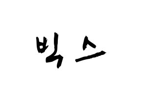 KPOP歌手 VIXX(빅스、ヴィックス) 応援ボード型紙、うちわ型紙　韓国語/ハングル文字 通常