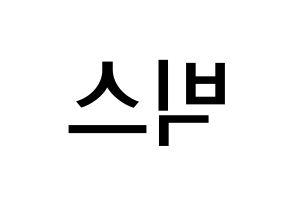 無料 KPOP VIXX(빅스、ヴィックス) 無料応援ボード屋さん 左右反転