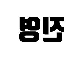 KPOP Wanna One(워너원、ワナワン) 배진영 (ペ・ジンヨン) コンサート用　応援ボード・うちわ　韓国語/ハングル文字型紙 左右反転