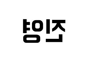 KPOP Wanna One(워너원、ワナワン) 배진영 (ペ・ジンヨン) k-pop アイドル名前 ファンサボード 型紙 左右反転