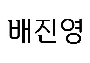 KPOP Wanna One(워너원、ワナワン) 배진영 (ペ・ジンヨン) プリント用応援ボード型紙、うちわ型紙　韓国語/ハングル文字型紙 通常