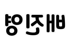 KPOP Wanna One(워너원、ワナワン) 배진영 (ペ・ジンヨン) 応援ボード・うちわ　韓国語/ハングル文字型紙 左右反転