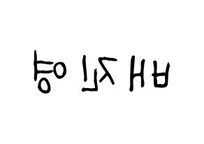 KPOP Wanna One(워너원、ワナワン) 배진영 (ペ・ジンヨン) 名前 応援ボード 作り方 左右反転