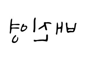 KPOP Wanna One(워너원、ワナワン) 배진영 (ペ・ジンヨン) 応援ボード ハングル 型紙  左右反転