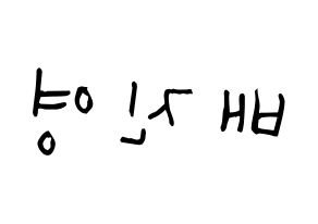 KPOP Wanna One(워너원、ワナワン) 배진영 (ペ・ジンヨン, ペ・ジンヨン) 無料サイン会用、イベント会用応援ボード型紙 左右反転