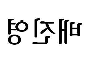 KPOP Wanna One(워너원、ワナワン) 배진영 (ペ・ジンヨン) プリント用応援ボード型紙、うちわ型紙　韓国語/ハングル文字型紙 左右反転