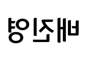 KPOP Wanna One(워너원、ワナワン) 배진영 (ペ・ジンヨン) k-pop アイドル名前 ファンサボード 型紙 左右反転