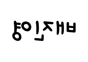 KPOP Wanna One(워너원、ワナワン) 배진영 (ペ・ジンヨン) 名前 応援ボード 作り方 左右反転